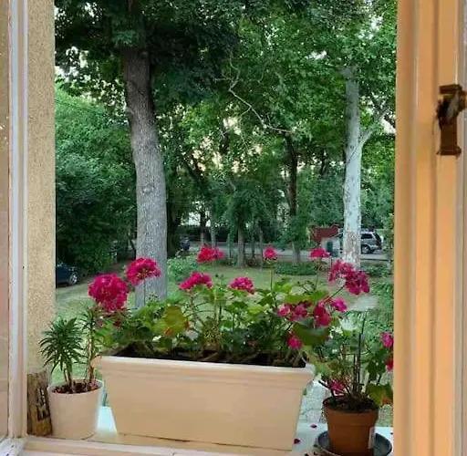 Villa Giulietta With Garden, Free Parking *